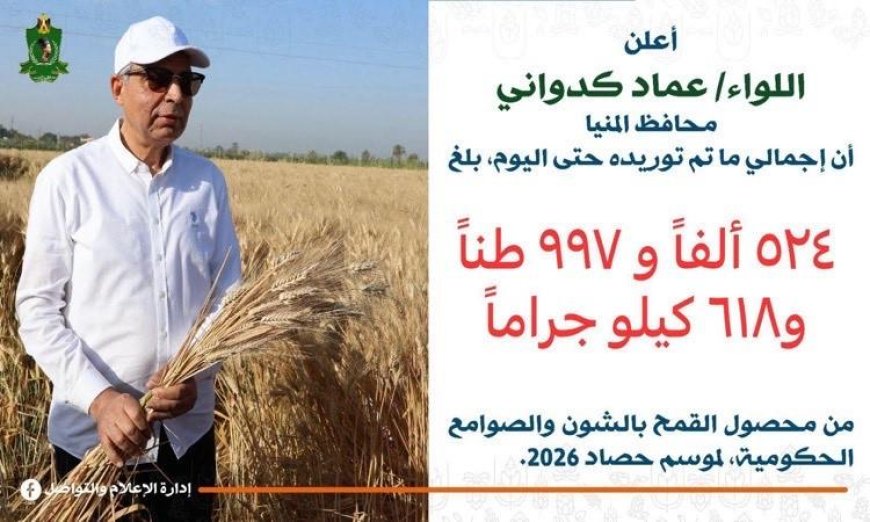 محافظ المنيا يكشف توريد 524 ألف طن من القمح خلال موسم الحصاد 2026