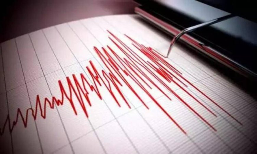 حصيلة ضحايا زلزال الفلبين تتصاعد إلى 61 قتيلا و40 مفقودا