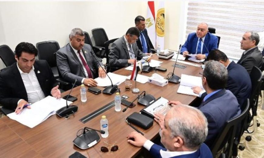 مشروع القطار الكهربائي السريع: تحول تنموي بارز في جهود تحسين النقل في مصر