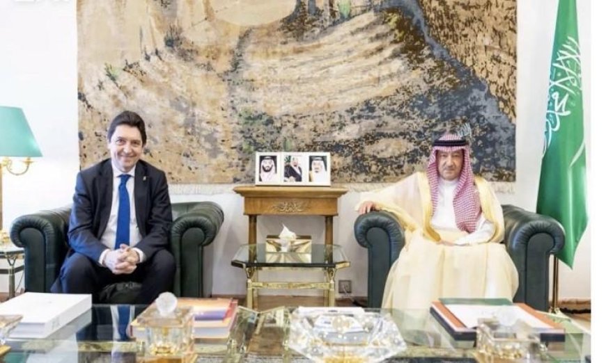 السعودية وفرنسا تتعاونان لتعزيز الشراكات الاستراتيجية بين البلدين