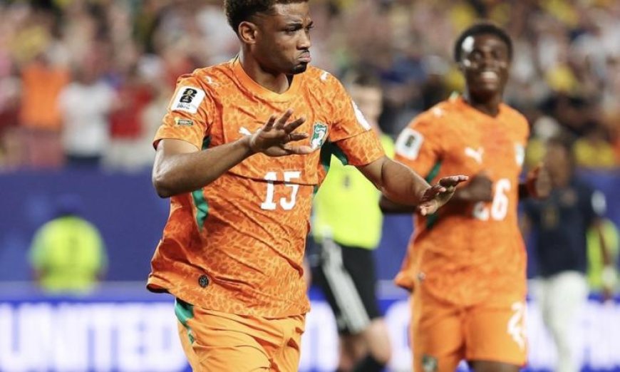 كوت ديفوار تحقق فوزاً قاتلاً على الإكوادور 1-0 في منافسات كأس العالم