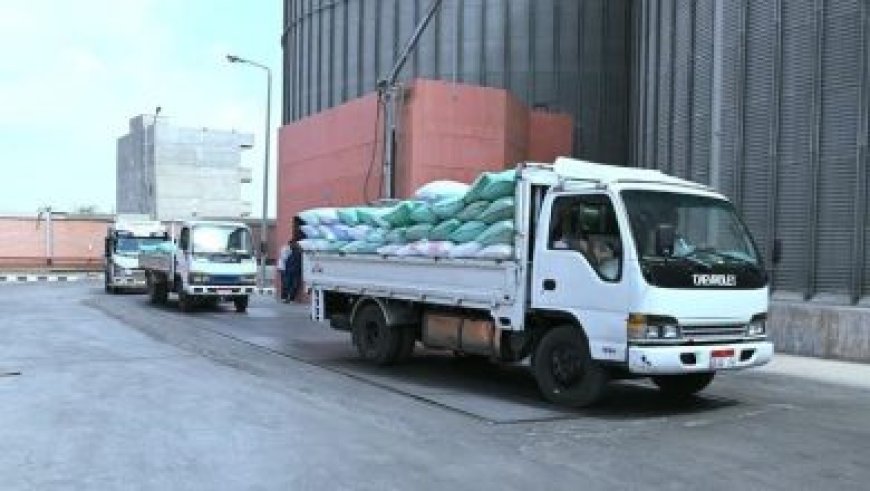 محافظ القاهرة يشارك في احتفالية الأوقاف بمناسبة العام الهجري الجديد في مسجد السيدة زينب