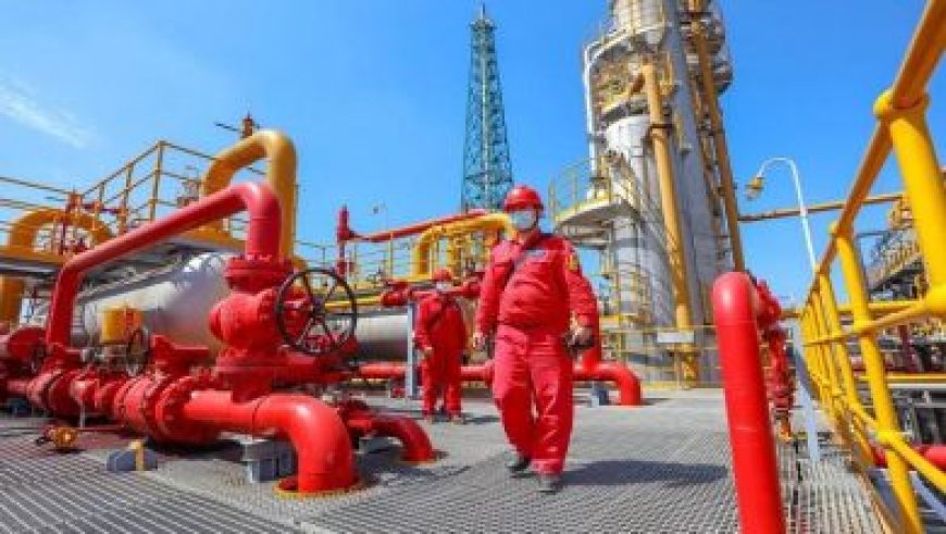 التعديلات الجديدة على قانون الضريبة القيمة المضافة تعزز تجارة الترانزيت في البلاد