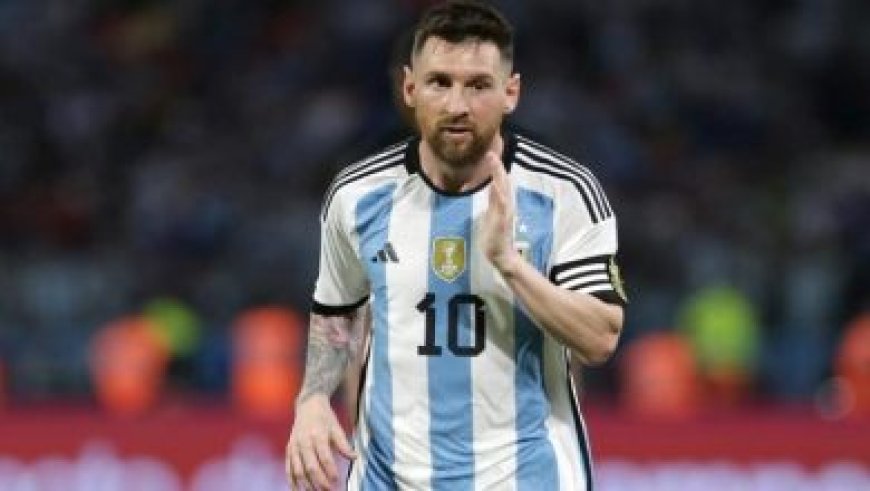 البطة ميرلين تقتحم عالم النجومية من شوارع مكسيكو سيتي إلى قمة كأس العالم