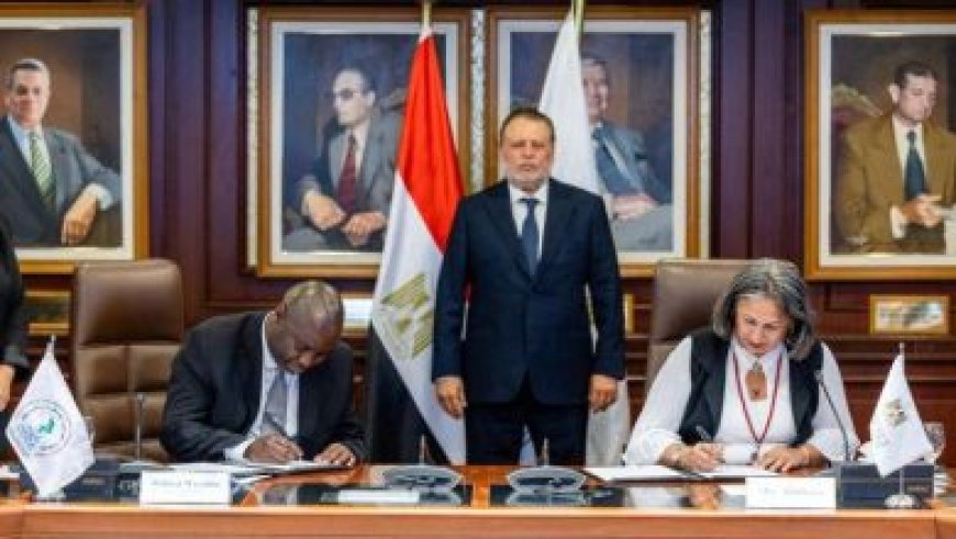 مصر للطيران تعزز تجربة عملائها وتضعهم في صميم أولوياتها