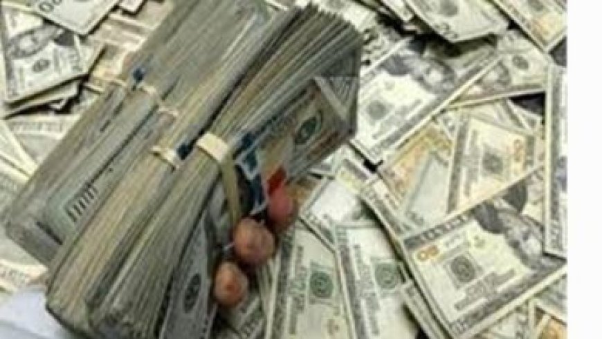 القبض على نصاب في الغربية يحتال على المستثمرين في البورصة