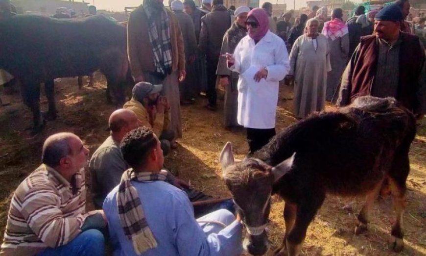 الزراعة تعزز نظام الإنذار المبكر لحماية الثروة الحيوانية والدواجن
