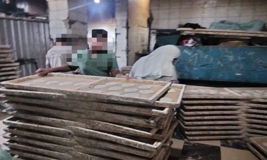 محافظ المنوفية يكشف عن تحرير 572 محضر تمويني في إطار الحملات التفتيشية الناشطة