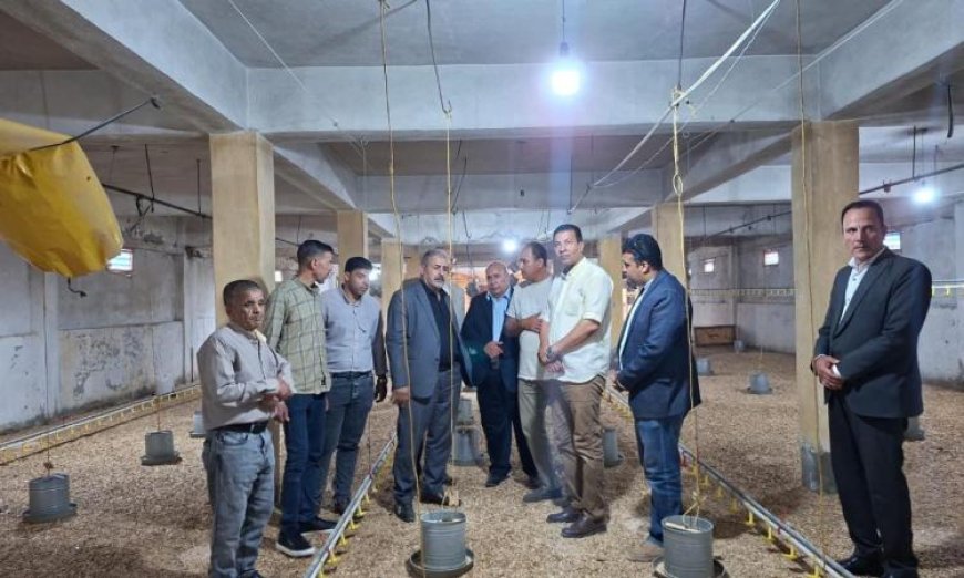 رئيس هيئة الإصلاح الزراعي يشرف على توزيع الأسمدة ويعزز المشروعات الإنتاجية