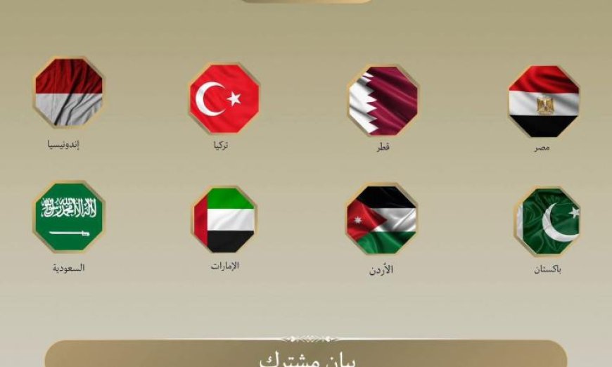 وزراء خارجية مصر والدول العربية يحذرون من تصاعد عنف المستوطنين ويدينونه بشدة