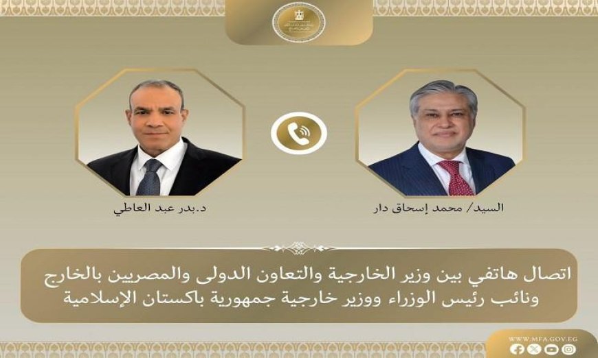 وزير الخارجية المصري يتناول مع نظيره الباكستاني آخر التطورات الإقليمية وتأثيرها على العلاقات الثنائية