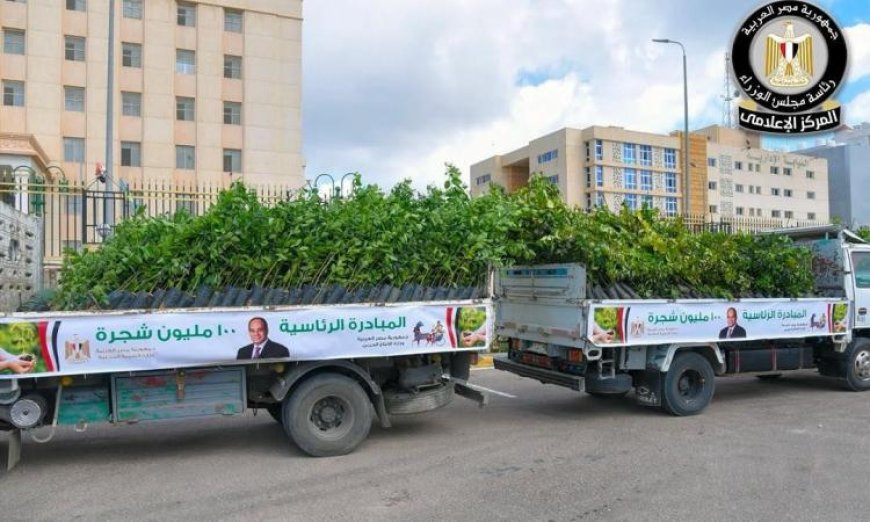 زراعة 200 ألف شجرة جديدة في المرحلة الرابعة لمبادرة 100 مليون شجرة