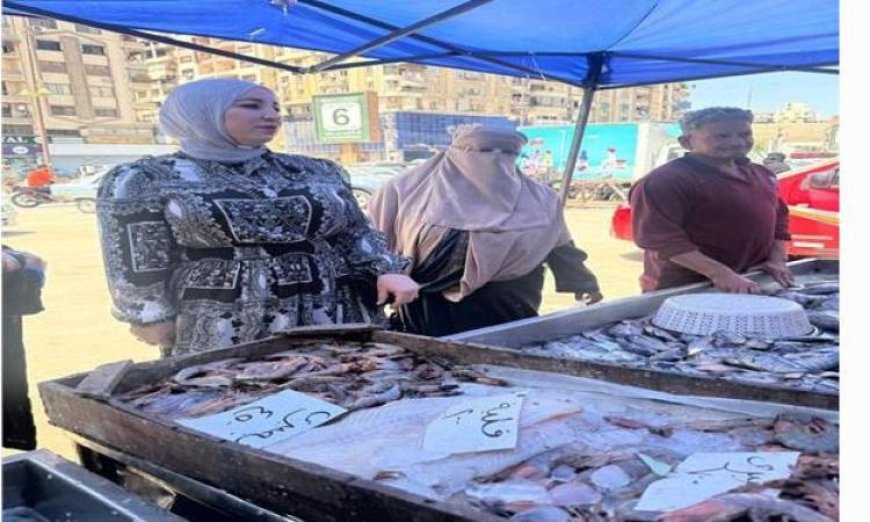 حملات مكبرة في الدقهلية تسفر عن ضبط 288 مخالفة متنوعة