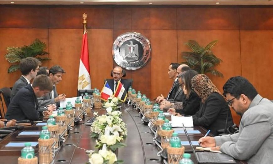 وزير الاستثمار يؤكد حرص مصر على جذب استثمارات فرنسية نوعية لتعزيز الاقتصاد الوطني