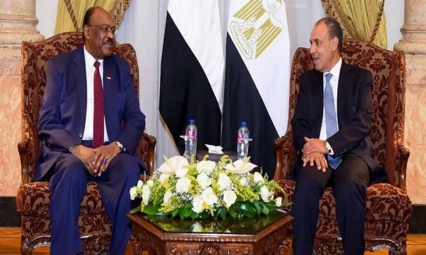 وزير الخارجية المصري ي reaffirm موقف مصر الثابت في دعم وحدة السودان وسيادته وسلامة أراضيه