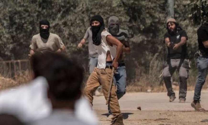 مستوطنون يشنون هجمات على ترمسعيا وسنجل في شمال شرق رام الله