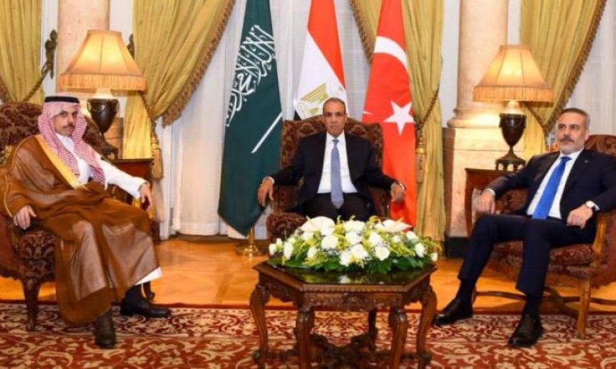 وزير الخارجية يناقش مع نظرائه السعودي والتركي أحدث التطورات الإقليمية
