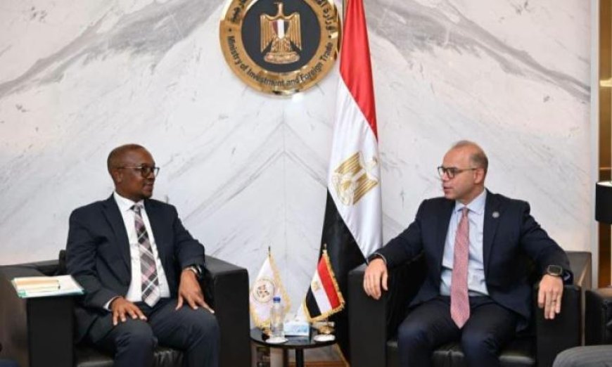 فريد يناقش مع وزير التجارة والصناعة في جنوب أفريقيا تعزيز الشراكة الاقتصادية وتوسيع آفاق التعاون