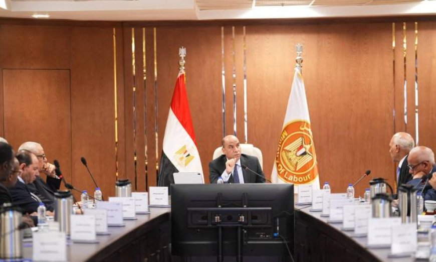 وزير العمل يعلن عن تقديم صندوق الطوارئ إعانات بقيمة 2.557 مليار جنيه لـ441 ألف عامل