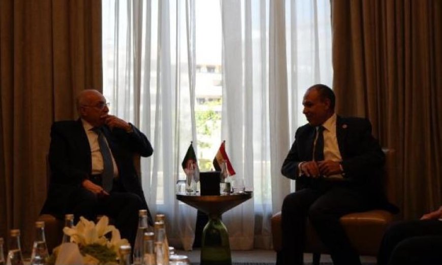 وزير الخارجية المصري ونظيره الجزائري يعززان أواصر التعاون الثنائي بين مصر والجزائر