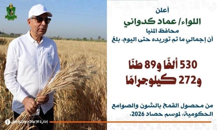 توريد 530 ألف طن من القمح في المنيا والمحافظ يؤكد ضرورة الحصول على تصريح لخروج المحصول