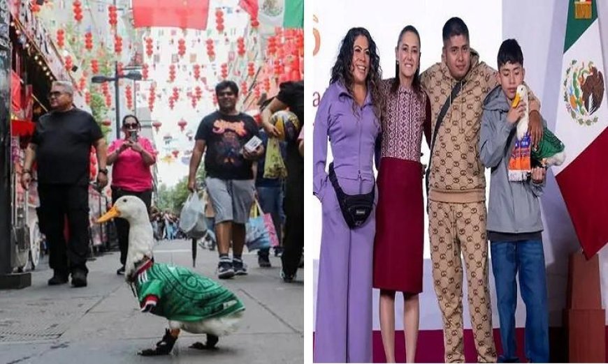 البطة ميرلين تلتقي رئيسة المكسيك في حدث تاريخي بنجم المونديال