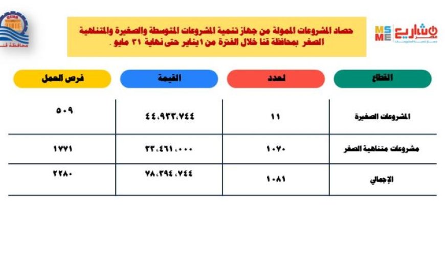 78 مليون جنيه لتمويل مشروعات صغيرة ومتناهية الصغر في قنا منذ بداية 2023