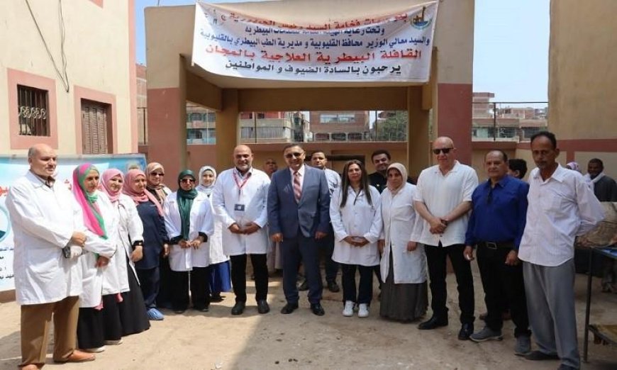 محافظ القليوبية يزور القافلة البيطرية المجانية في كفر علي شرف الدين لتعزيز خدمات الرعاية الحيوانية