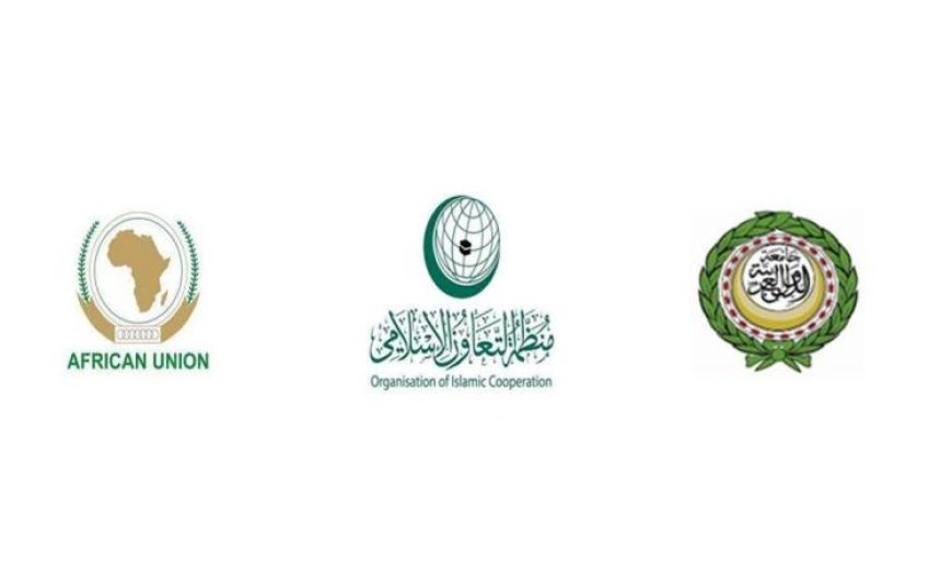 بيان قوي من الدول العربية والإفريقية والإسلامية ضد مخططات الضم والاستيطان الإسرائيلي في فلسطين