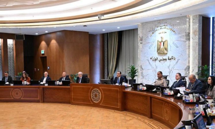 الحكومة توافق على تحويل هيئة التحكيم واختبارات القطن إلى هيئة عامة لخدمة الزراعة والمزارعين