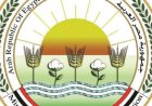 الزراعة تؤكد عدم صحة الشائعات حول انتشار وباء مرض الجلد العقدي بشكل واسع