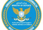 مقتل 25 إرهابيا في غارة جوية نفذتها القوات الدفاعية الصومالية في إقليم هيران