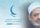 12 سنة من الإنجازات في تعزيز الحوار وصناعة السلام بمجلس حكماء المسلمين