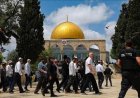 مستوطنون يهاجمون المسجد الأقصى تحت حماية قوات الاحتلال الإسرائيلي