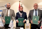 نقل الكهرباء تبرم عقد تنفيذ المرحلة الثالثة من مشروع خط أوراسكوم – الحوامدية