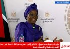 وزيرة خارجية موزمبيق تدعو الشركات المصرية للمشاركة بشكل أكبر في تطوير الاقتصاد الوطني