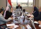 وزير الكهرباء يتعاون مع محافظ الوادي الجديد لتعزيز استخدام الطاقات المتجددة