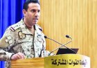 تحالف دعم الشرعية في اليمن يعلن عن حماية سفن التجارة البحرية في مضيق باب المندب