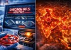 ظهور متحوّر أوميكرون RF.5 في الهند يثير القلق بين العلماء والمختصين