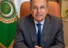 فهمى يعبر عن دعمه القوي للسعودية في التصدي لتهديدات ميليشيا الحوثي
