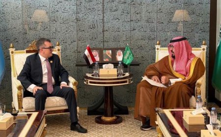 رستم ونظيره السعودي يركزان على تعزيز الحوار التنموي لتعميق الشراكة الاقتصادية