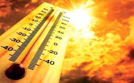 غدا ارتفاع درجات الحرارة والرطوبة نهاراً وليلاً مع عظمى 35 في القاهرة