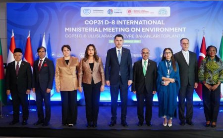 منال عوض تشدد على أهمية توحيد الموقف التفاوضي للدول النامية قبل مؤتمر COP31