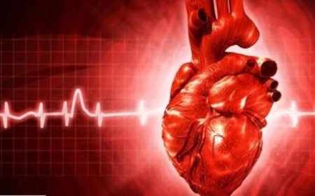 دراسة جديدة تكشف تأثير الضوضاء الخطير على صحة القلب