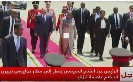 الرئيس السيسي يبدأ زيارة رسمية لتنينزيا لتعزيز التعاون الثنائي