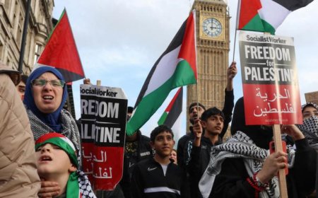 احتجاجات فلسطينية تعم لندن للمطالبة بفرض عقوبات على إسرائيل من قبل آندي بيرنهام