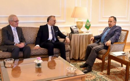 فهمي ومستشار الرئيس الأمريكي يشددان على أهمية الوضع الراهن في ليبيا والسودان