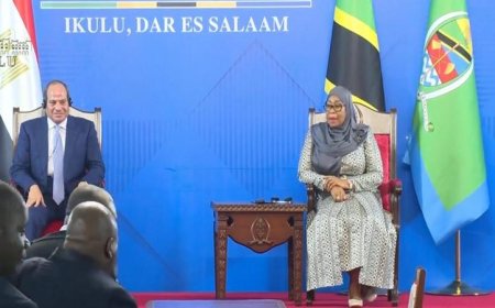 مؤتمر صحفي مثير مع الرئيس السيسي ورئيسة تنزانيا على الهواء مباشرة