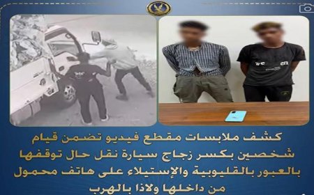 اعتقال شخصين بتهمة تحطيم زجاج سيارة لنقل وسرقة هاتف محمول منها