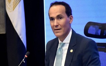 توسعات جارديان جلاس تعزز صادرات الزجاج المصري وفق هيئة الاستثمار